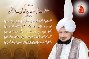 Khadim Sultan ul Faqr Hazrat Sakhi Sultan Mohammad Najib ur Rehman Madzillah ul Aqdus